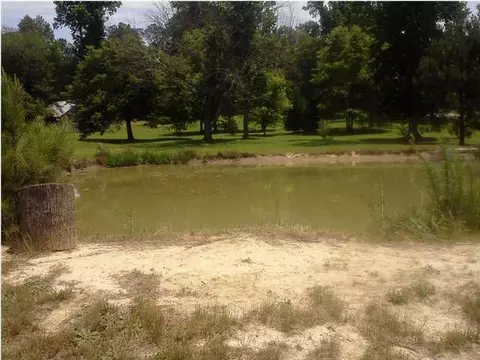 11247 Mcghee Rd, Apison, TN 37302 photo 3