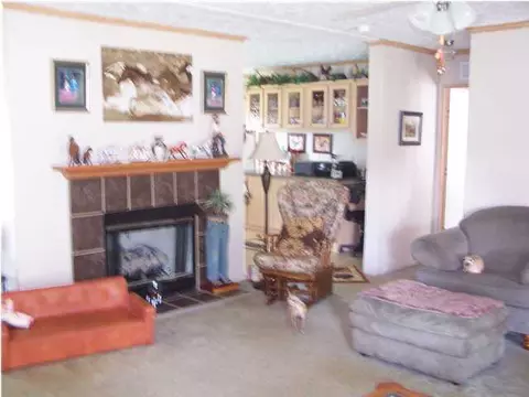 2380 Mccarver Loop Rd, Dunlap, TN 37327 photo 18