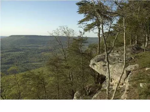 777 Lake Loop Rd, Cloudland, GA 30731 photo 27