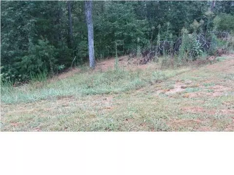 119 Dylan Dr, Ringgold, GA 30736 photo 6