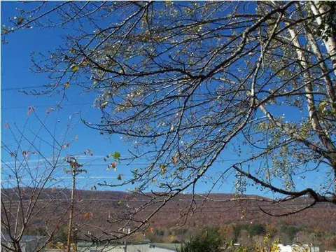 792 Main St, Dunlap, TN 37327 photo 10
