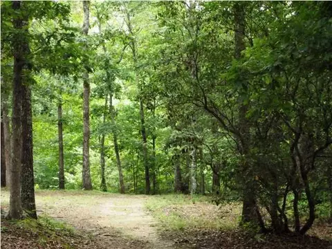 520 E Black Mountain Rd, Dunlap, TN 37327 photo 23