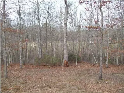 520 E Black Mountain Rd, Dunlap, TN 37327 photo 11