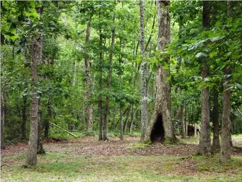 520 E Black Mountain Rd, Dunlap, TN 37327 photo 2