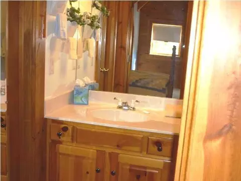 4626 Mcdonald Rd, Apison, TN 37302 photo 20