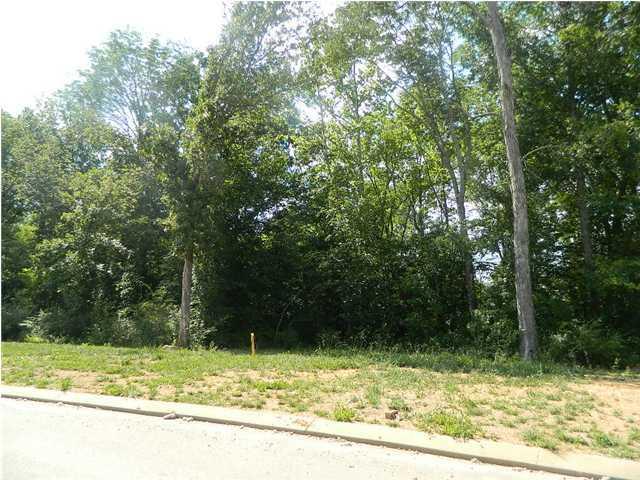 11333 E Brainerd Rd, Apison, TN 37302 photo 1