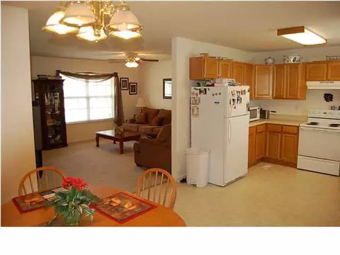 247 Hard Luck Ranch Rd, Dunlap, TN 37327 photo 8