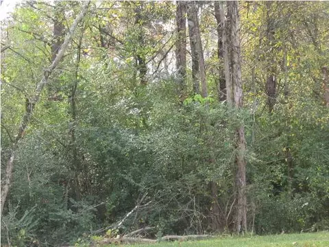 12151 Apison Pike, Apison, TN 37302 photo 1