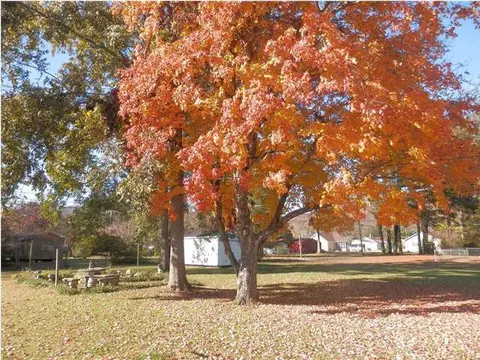 1007 Betsy Pack Dr, Jasper, TN 37347 photo 2
