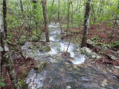 472 Woods Rd, Dunlap, TN 37327 photo 35
