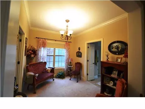 4621 Mcdonald Rd, Apison, TN 37302 photo 17