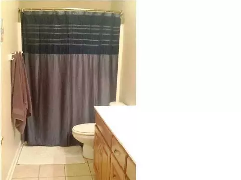 8712 Streamside Dr, Ooltewah, TN 37363 photo 20
