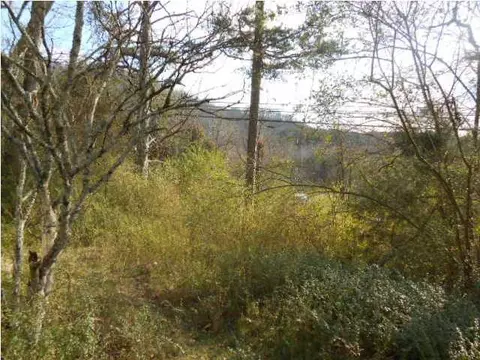 9819 Brainerd Rd, Ooltewah, TN 37363 photo 4