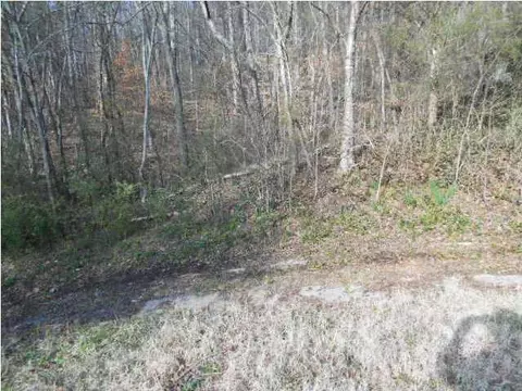 9819 Brainerd Rd, Ooltewah, TN 37363 photo 2