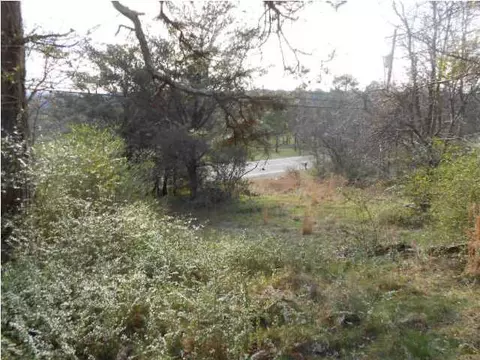 9819 Brainerd Rd, Ooltewah, TN 37363 photo 5