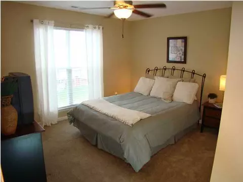 8335 Witherow Way, Ooltewah, TN 37363 photo 19