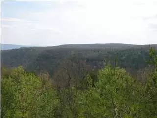 138 John Henry Lewis Rd, Dunlap, TN 37327 photo 3