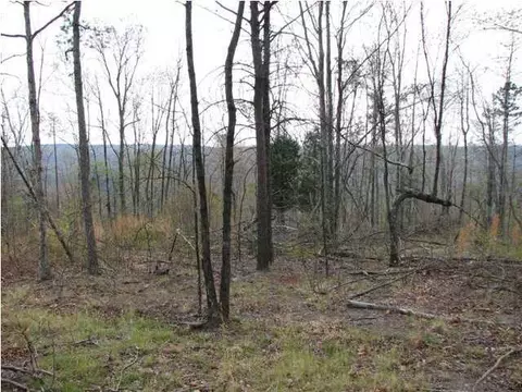 138 John Henry Lewis Rd, Dunlap, TN 37327 photo 6