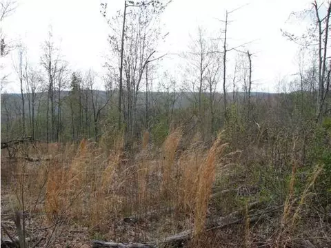 138 John Henry Lewis Rd, Dunlap, TN 37327 photo 5