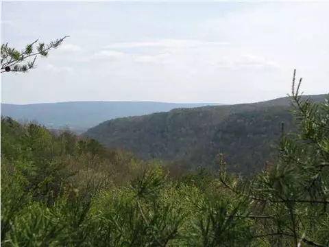 138 John Henry Lewis Rd, Dunlap, TN 37327 photo 2
