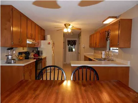 175 Williams Dr, Ringgold, GA 30736 photo 3