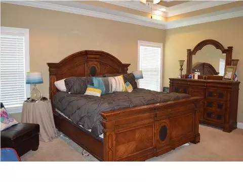 8736 Walnut Leaf Dr, Ooltewah, TN 37363 photo 20