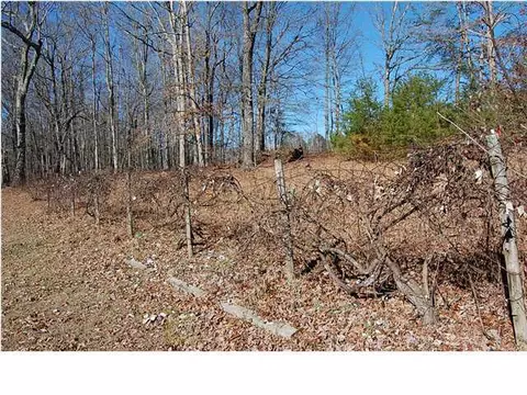 434 Stooping Oak Rd, Dunlap, TN 37327 photo 11