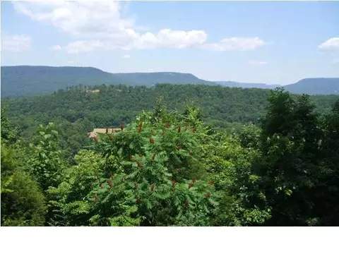 580 Herbert Ln, Jasper, TN 37347 photo 2