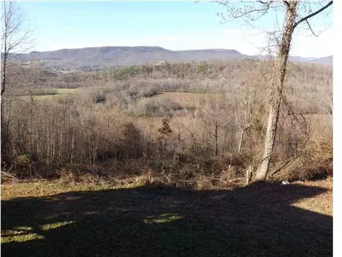580 Herbert Ln, Jasper, TN 37347 photo 6