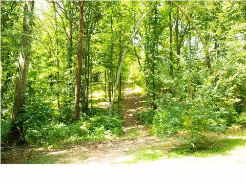 9026 Bryan Rd, Harrison, TN 37341 photo 27