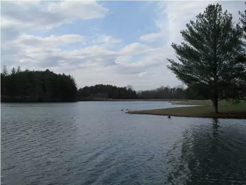 301 Studer Lake Dr, Dunlap, TN 37327 photo 20