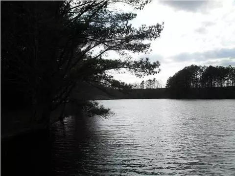 301 Studer Lake Dr, Dunlap, TN 37327 photo 19