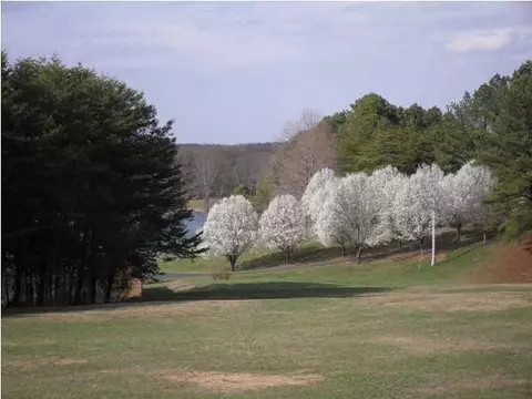 301 Studer Lake Dr, Dunlap, TN 37327 photo 35