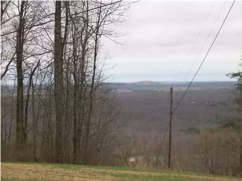 358 Fire Tower Rd, Dunlap, TN 37327 photo 16