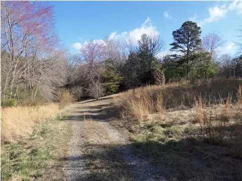 1081 Ramey Rd, Trion, GA 30753 photo 2