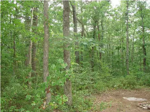 286 White Oak Trl, Sequatchie, TN 37374 photo 4
