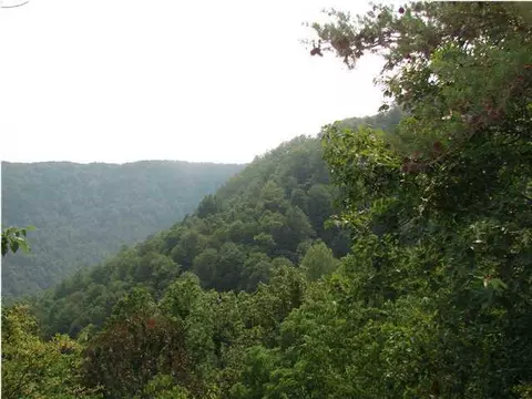 286 White Oak Trl, Sequatchie, TN 37374 photo 3