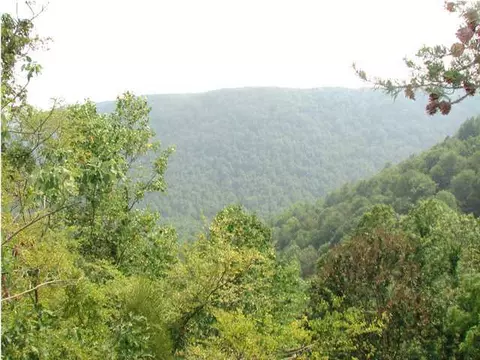 286 White Oak Trl, Sequatchie, TN 37374 photo 6