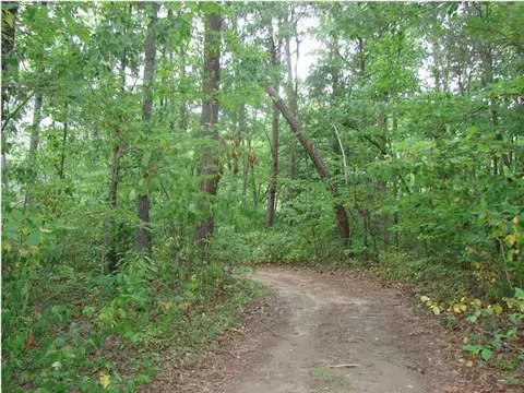 286 White Oak Trl, Sequatchie, TN 37374 photo 5