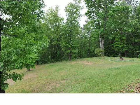 11615 Bates Rd, Apison, TN 37302 photo 32