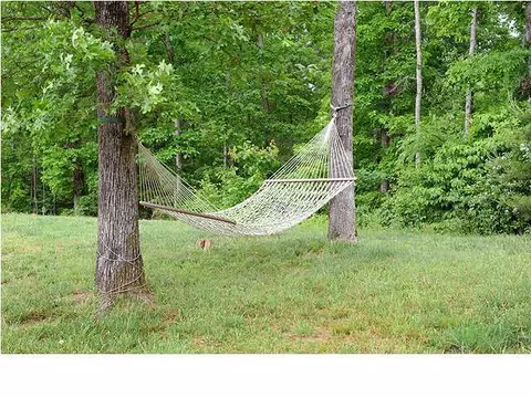 11615 Bates Rd, Apison, TN 37302 photo 24