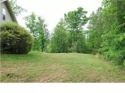 11615 Bates Rd, Apison, TN 37302 photo 30