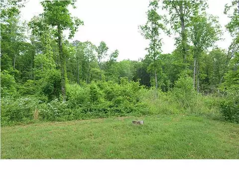 11615 Bates Rd, Apison, TN 37302 photo 28