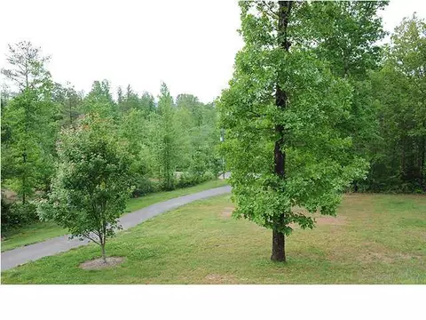 11615 Bates Rd, Apison, TN 37302 photo 33