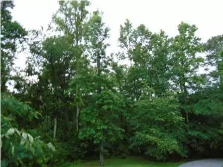 11313 Bates Rd, Apison, TN 37302 photo 4