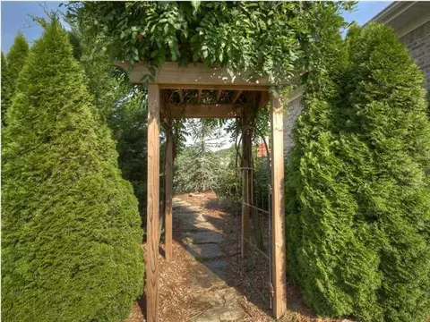 11320 Thatch Rd, Harrison, TN 37341 photo 23