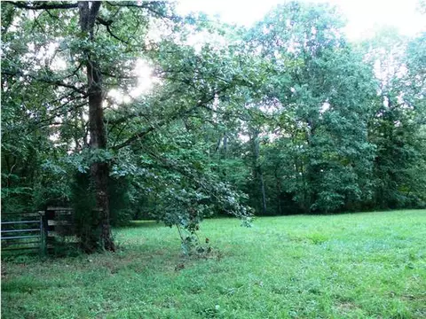 312 Sprouse Hill Rd, Dunlap, TN 37327 photo 9