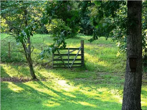 312 Sprouse Hill Rd, Dunlap, TN 37327 photo 13