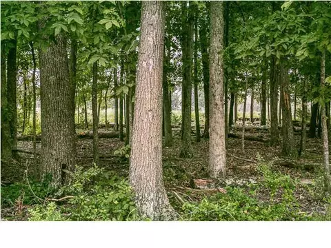 8604 Streamside Dr, Ooltewah, TN 37363 photo 30