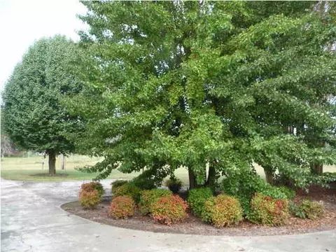 2235 Post Oak Rd, Ringgold, GA 30736 photo 27
